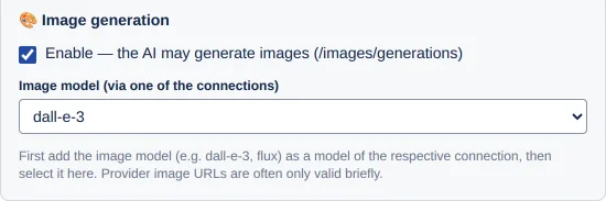 the 🎨 Image generation card with the checkbox and the image model selector
