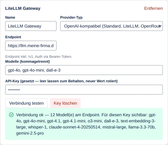eine Verbindungskarte nach erfolgreichem Test mit Verbindung ok und der Modellliste