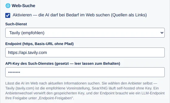 die Karte 🌐 Web-Suche mit Häkchen, Such-Dienst, Endpoint und API-Key-Feld