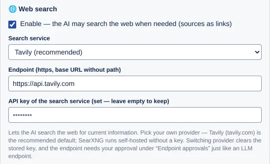 the 🌐 Web search card with the checkbox, Search service, Endpoint and API key fields